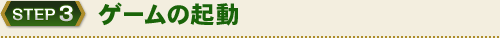 STEP3　ゲームの起動
