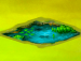 池